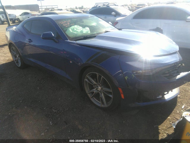 2019 1G1FB1RS3K0139081 main image