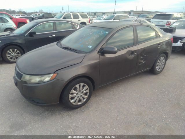 KNAFU4A29C5515816 KIA FORTE EX
