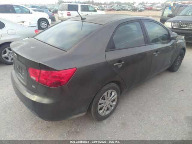 KNAFU4A29C5515816 KIA FORTE EX