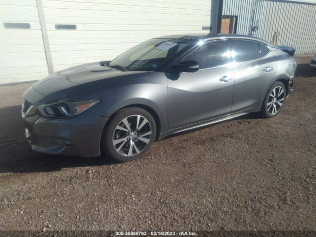 1N4AA6AP4HC445549 Nissan Maxima Platinum