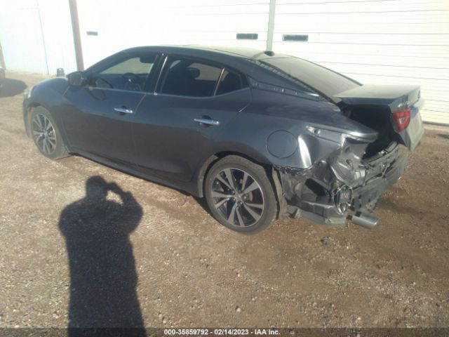 1N4AA6AP4HC445549 Nissan Maxima Platinum