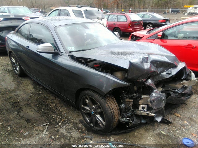 2015 WBA1J7C51FV253581 main image