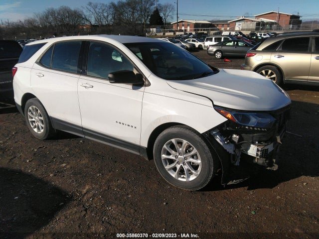 Chevrolet EQUINOX LS 2018 2GNAXHEV2J6293760 Image 1