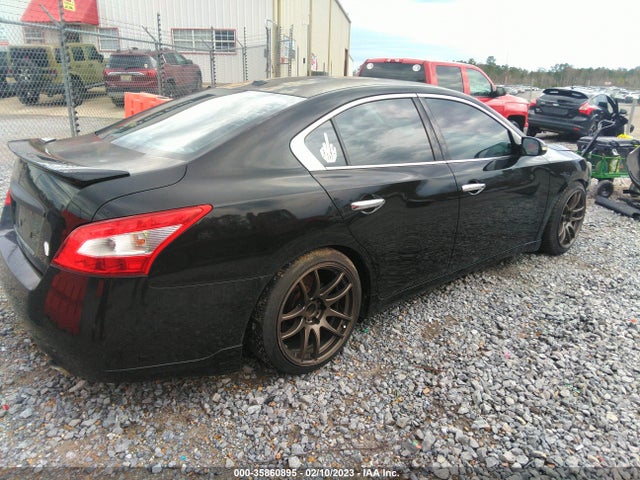 2010 NISSAN MAXIMA 3.5 SV VIN: 1N4AA5AP4AC854523