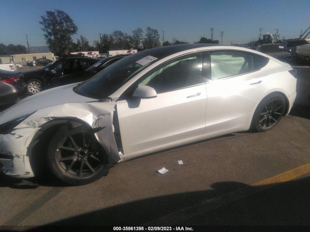Tesla Model 3 Standard Range Plus 2021 5YJ3E1EA6MF872020 Image 7