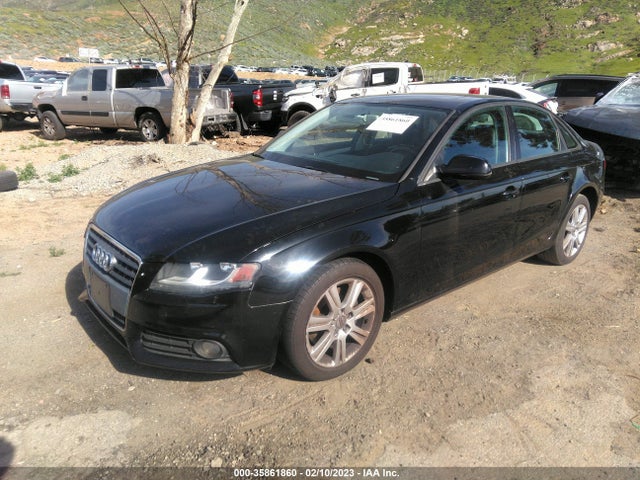 WAUAFAFLXAN032773 Audi A4 2.0t Premium