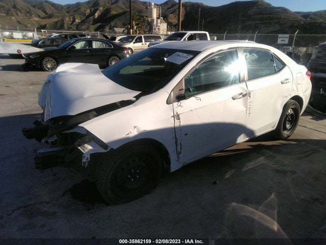 2019 TOYOTA COROLLA L/LE/SE/XLE/XSE VIN: 2T1BURHE0KC166092