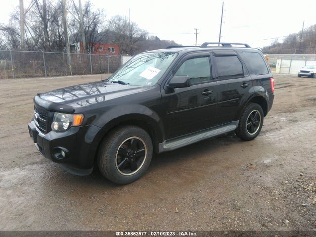 2011 FORD ESCAPE XLT VIN: 1FMCU0D74BKC61448
