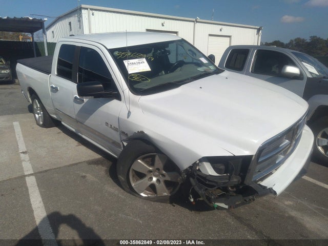 Dodge RAM 1500 2010 1D7RV1GT2AS124300 главное изображение