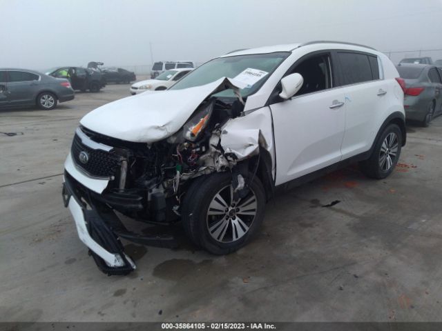 KNDPC3AC4E7650545 KIA Sportage Ex