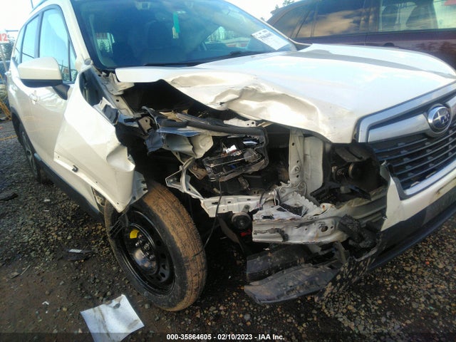 2019 Subaru Forester, VIN: JF2SKAEC5KH439373