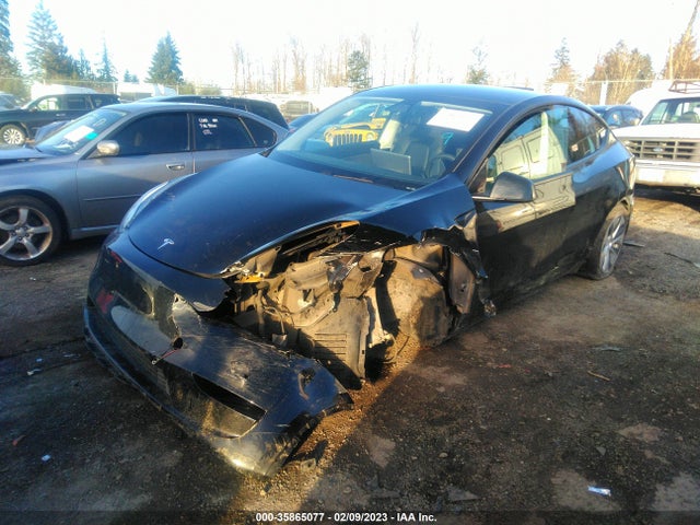2021 TESLA MODEL Y LONG RANGE VIN: 5YJYGDEE8MF065115
