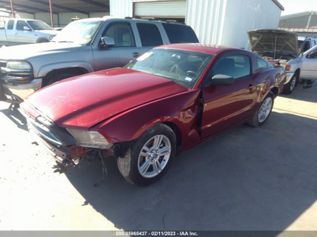 1ZVBP8AM4E5334821 Ford Mustang V6
