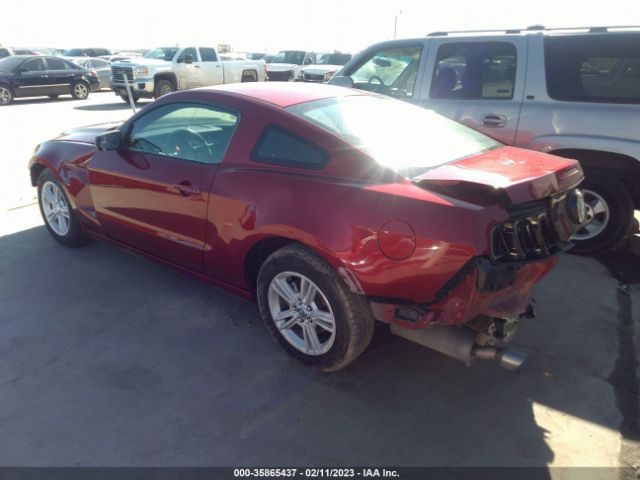 1ZVBP8AM4E5334821 Ford Mustang V6