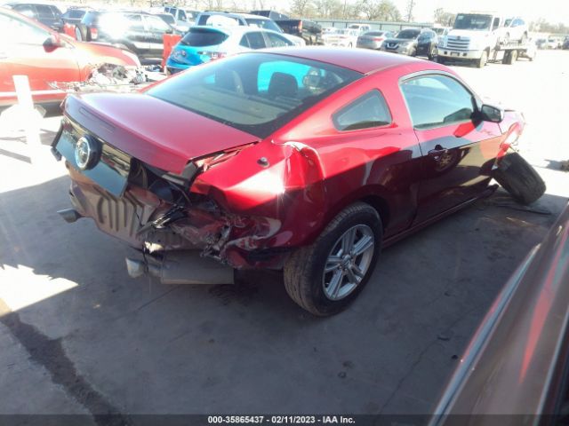 1ZVBP8AM4E5334821 Ford Mustang V6