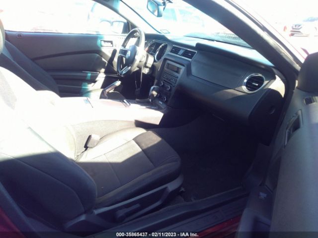 1ZVBP8AM4E5334821 Ford Mustang V6