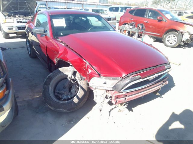1ZVBP8AM4E5334821 Ford Mustang V6