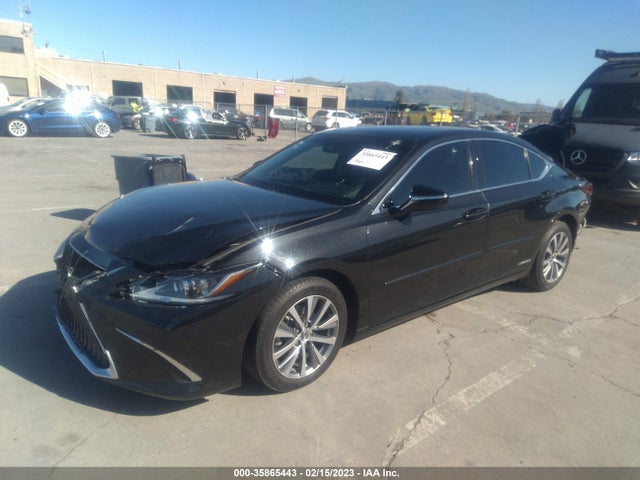 58AD21B11LU009556 Lexus Es Es 300h