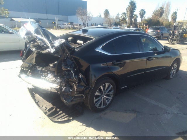 58AD21B11LU009556 Lexus Es Es 300h