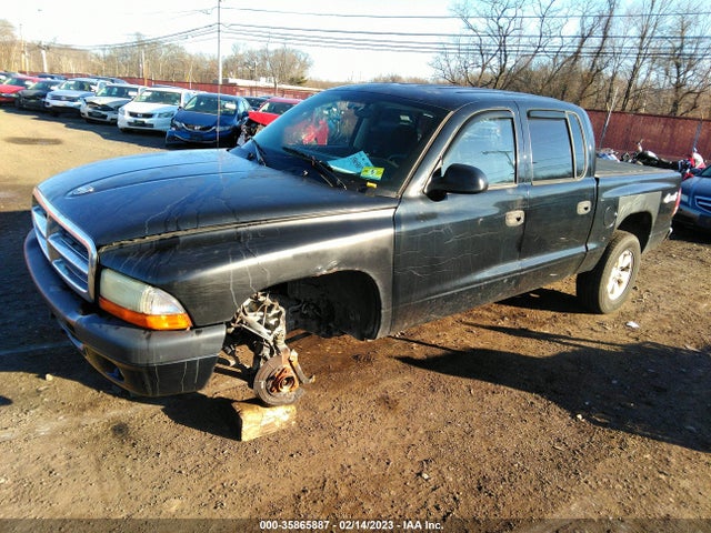 Dodge Dakota Sport 2004 1D7HG38K84S534112 Image 2
