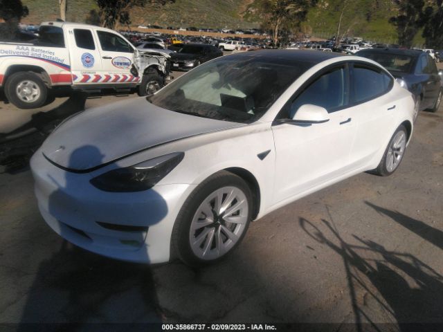 5YJ3E1EA1PF415118 Tesla MODEL 3