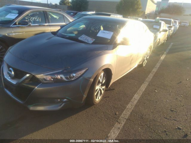 1N4AA6AP8HC395545 Nissan MAXIMA SV