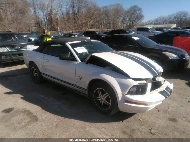 2009 FORD MUSTANG VIN: 1ZVHT84N395137686