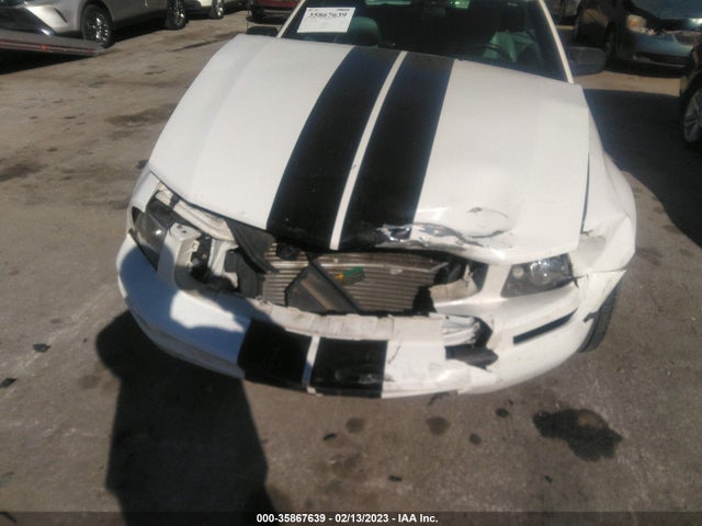 2009 FORD MUSTANG VIN: 1ZVHT84N395137686