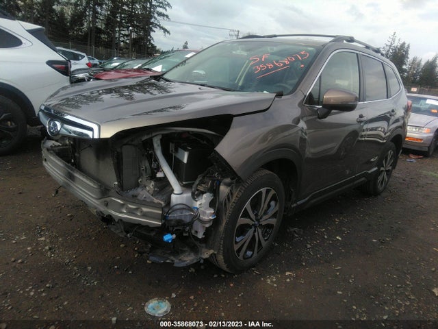 JF2SKAUCXKH499523 Subaru Forester Limited