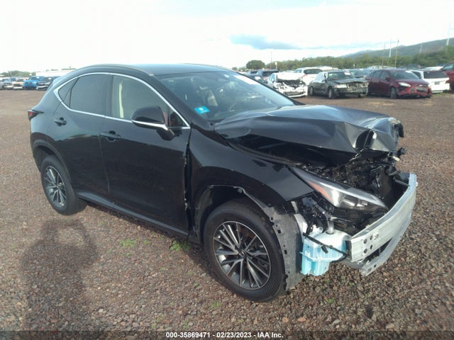 2023 Lexus NX, VIN: JTJADCAZ1P5011400
