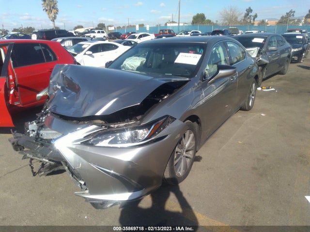 2019 Lexus ES, VIN: 58ABZ1B1XKU021156