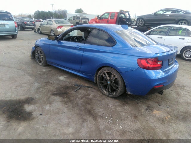 2017 BMW 2 Series, VIN: WBA2G1C31HV639533
