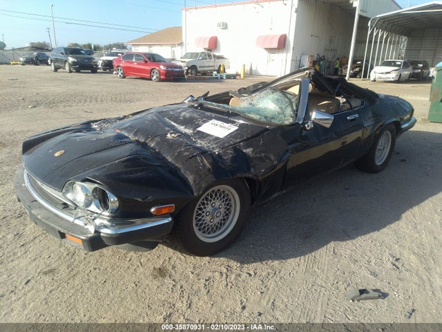 Jaguar Xjs Classic Collection 1991 SAJTW4849MC179350 Image 2