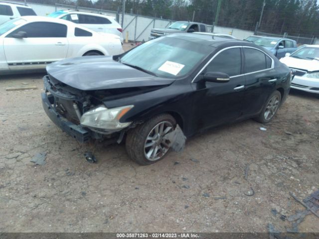 1N4AA51E39C820051 Nissan Maxima 3.5 Sv W/premium Pkg