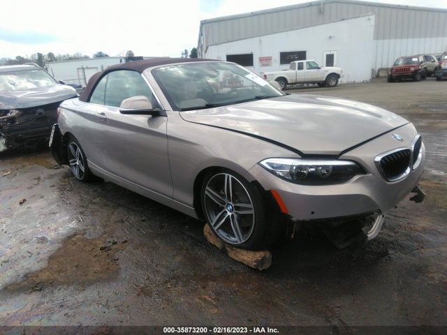 2017 BMW 2 Series, VIN: WBA2K9C51HV646710