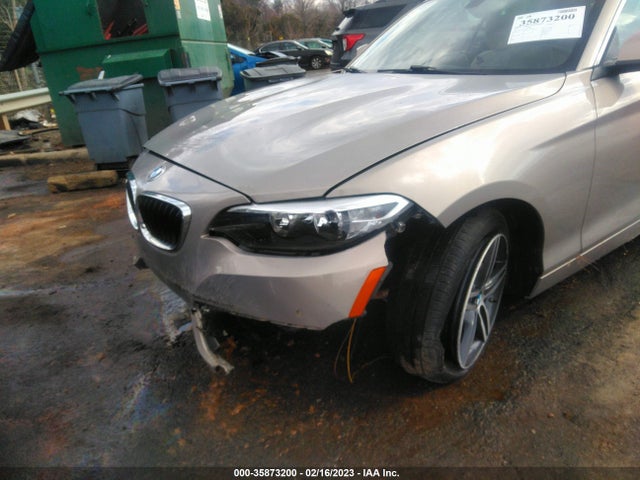 2017 BMW 2 Series, VIN: WBA2K9C51HV646710