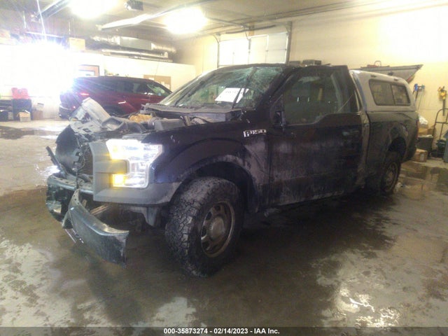2015 FORD F-150 XLT/XL VIN: 1FTEX1E89FFA56272