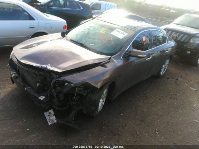 1N4AA5AP6EC443873 Nissan Maxima 3.5 Sv W/premium Pkg