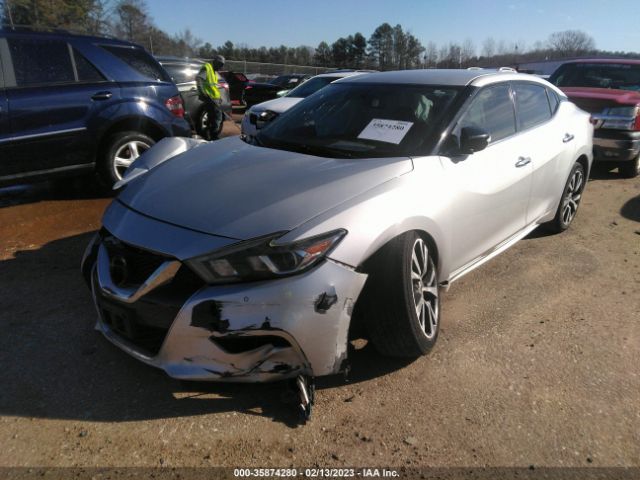 1N4AA6AP6HC400189 Nissan MAXIMA SV