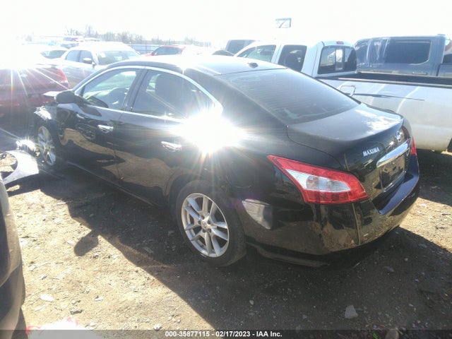 2010 NISSAN MAXIMA 3.5 SV W/PREMIUM PKG VIN: 1N4AA5AP5AC803208