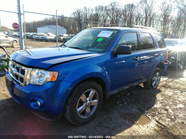 2011 FORD ESCAPE XLT VIN: 1FMCU0D78BKB10340