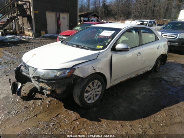KNAFU4A22C5586064 KIA FORTE EX