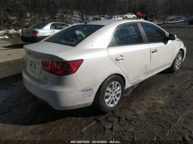 KNAFU4A22C5586064 KIA FORTE EX