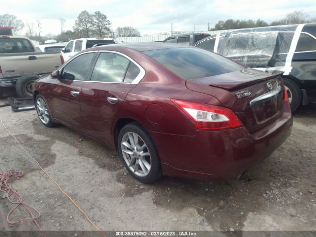 1N4AA5AP7AC832645 Nissan Maxima 3.5 S