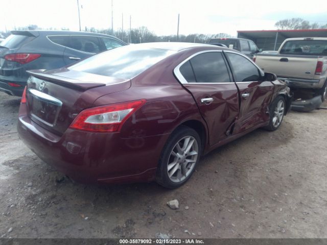 1N4AA5AP7AC832645 Nissan Maxima 3.5 S