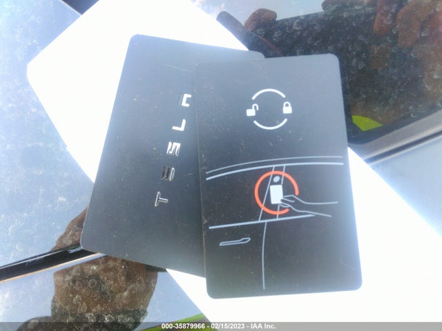Tesla Model 3 Range 2019 5YJ3E1EA4KF304667 Image 11