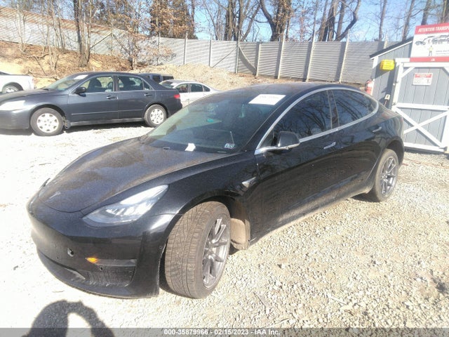 Tesla Model 3 Range 2019 5YJ3E1EA4KF304667 Image 2