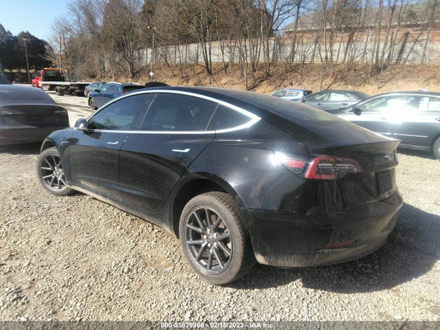 Tesla Model 3 Range 2019 5YJ3E1EA4KF304667 Image 3