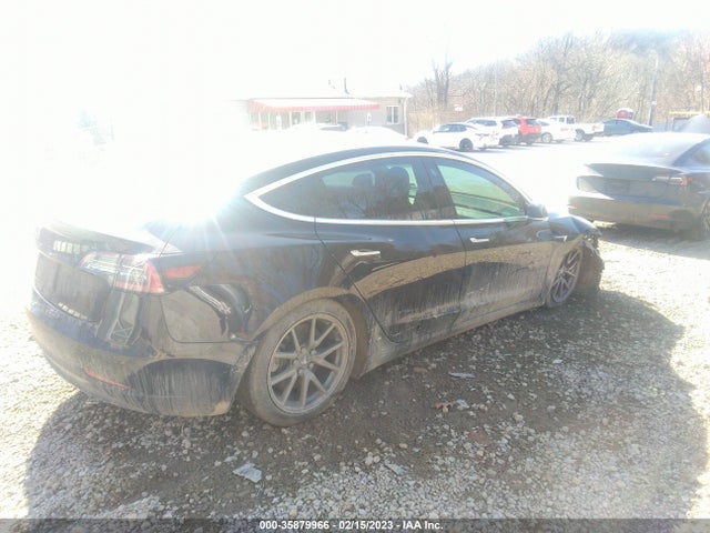 Tesla Model 3 Range 2019 5YJ3E1EA4KF304667 Image 4