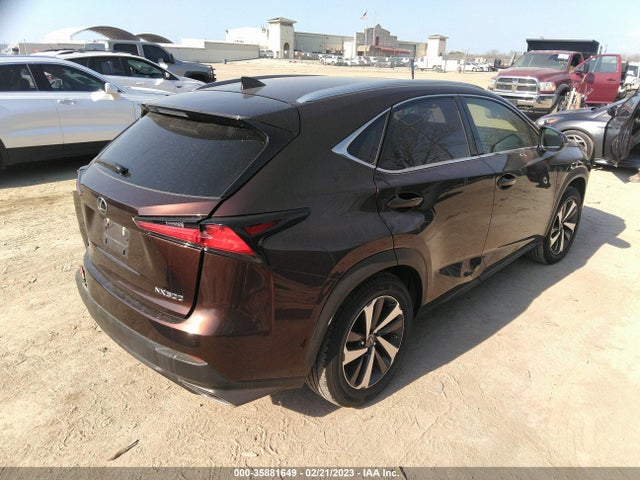 JTJBARBZ6K2190476 Lexus Nx Nx 300